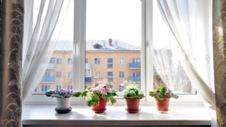 Пластиковые окна в трехкомнатную квартиру